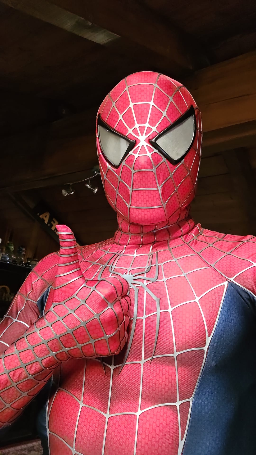 Spider Man (Federico)